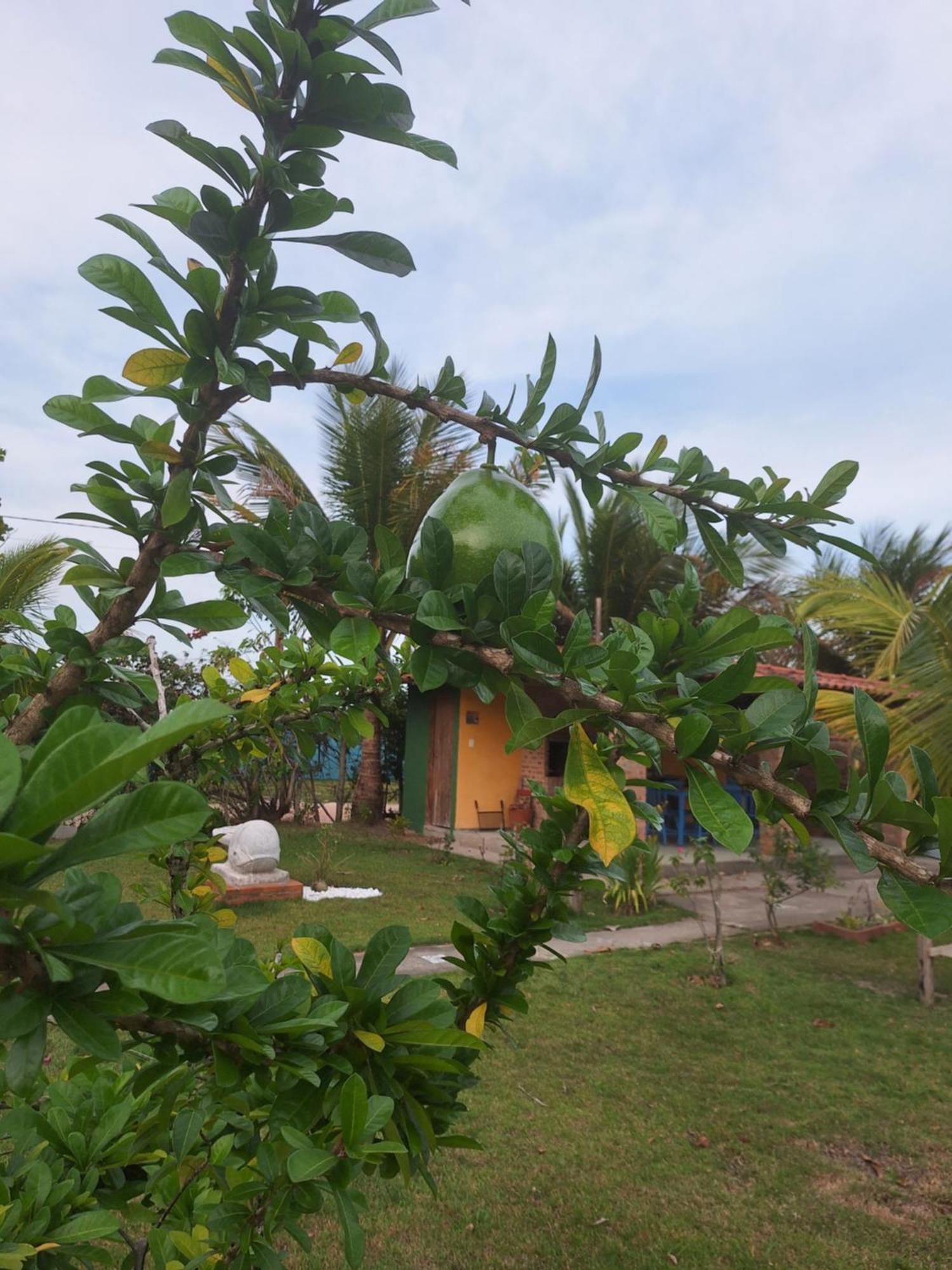 Casas Lindas No Paraiso! Costa Dourada Room photo